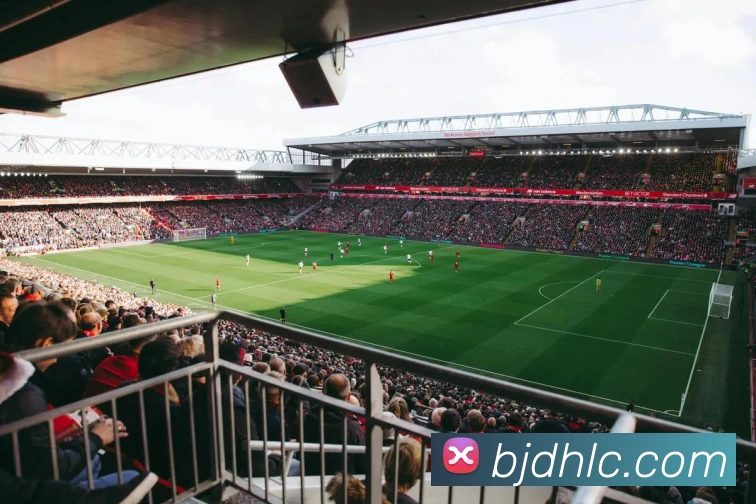 多媒体互动体验